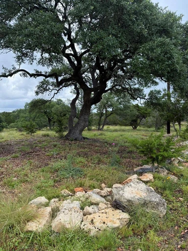 Property from 589 Rolling Hills Rd. #4B - KW - Blanco, Texas, 78606