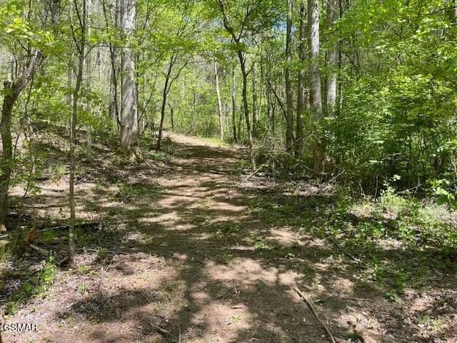 Property from - Jason Pl / Jones Cove Rd -Off - KW - Sevierville, Tennessee, 37876