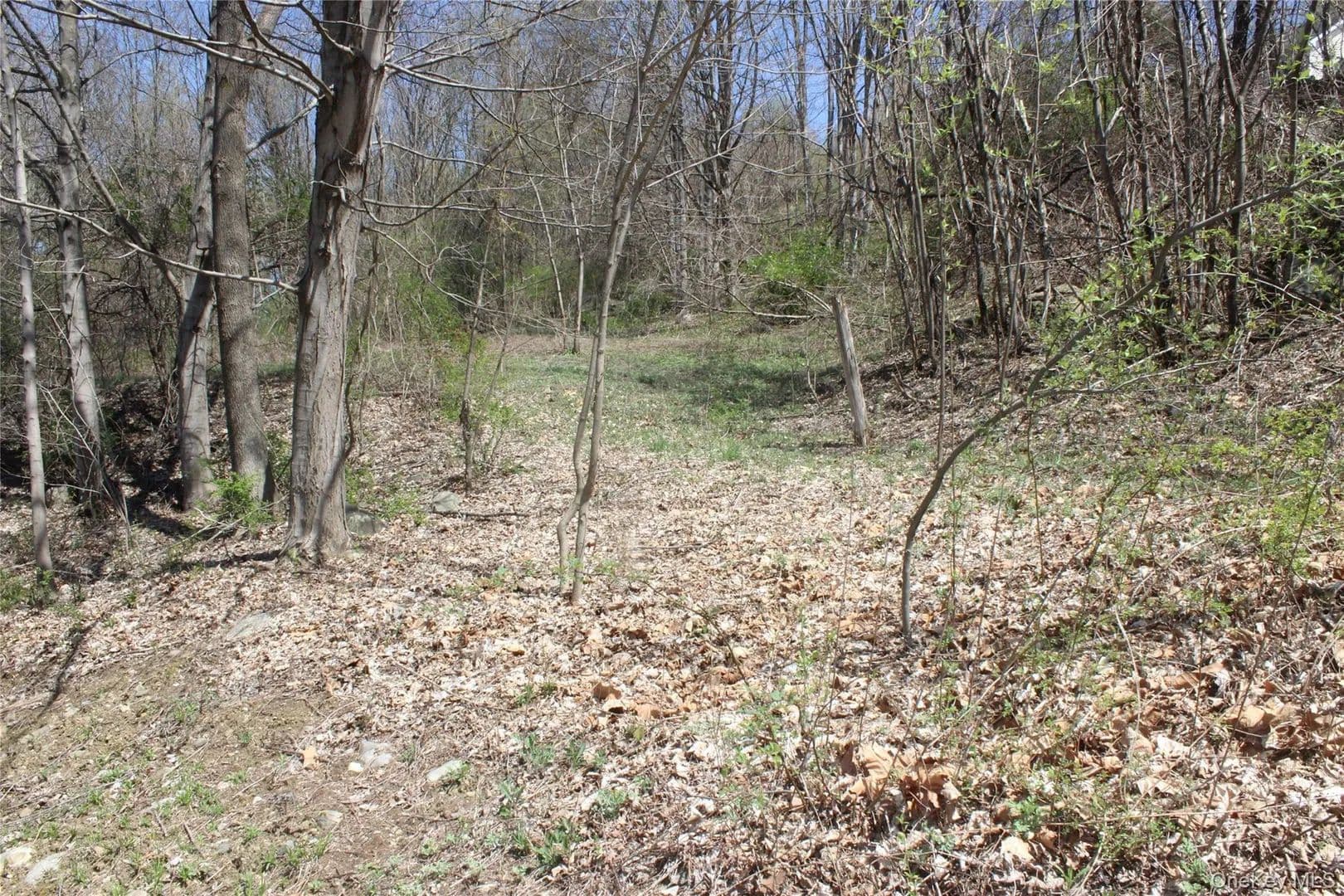 Property from 0 Old State Route 22 - KW - Amenia, New York, 12501