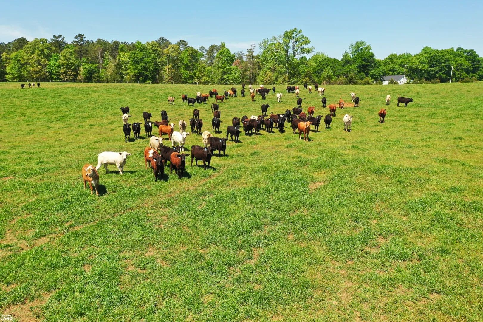 Due West Homesite - Due West, South Carolina, 29639