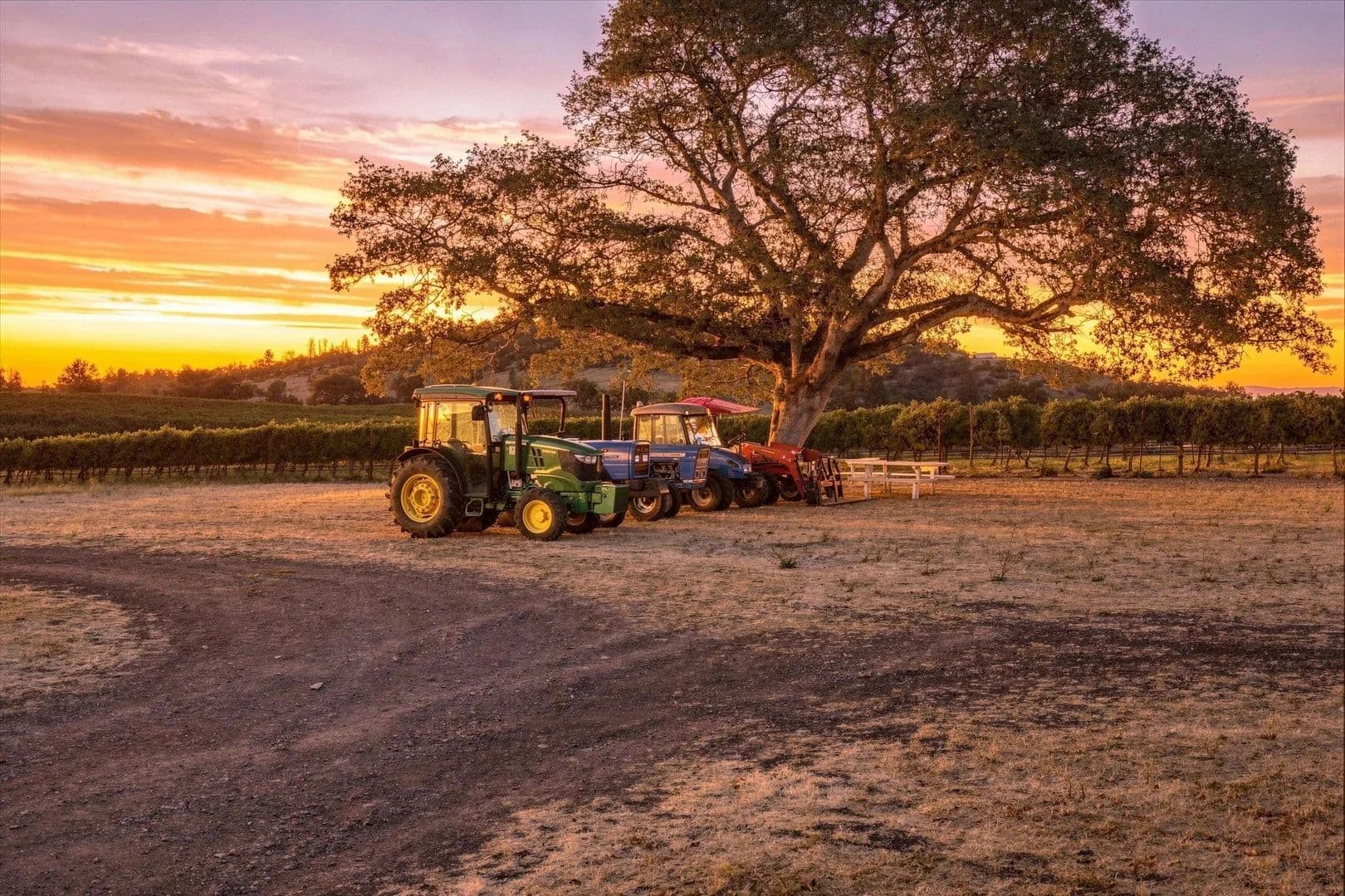 127-Acre Southern Oregon Vineyard, Ranch & Agricultural Estate - Eagle Point, Oregon, 97524