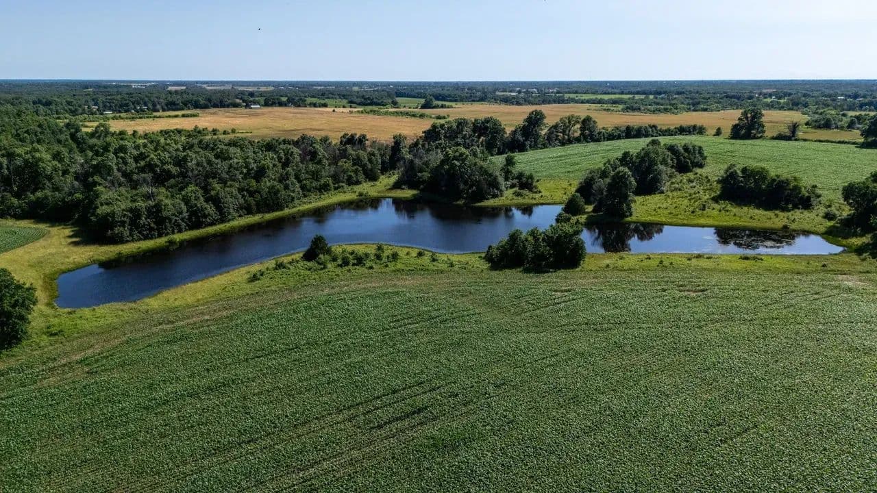 Auxvasse Tract 1 - Auxvasse, Missouri, 65231