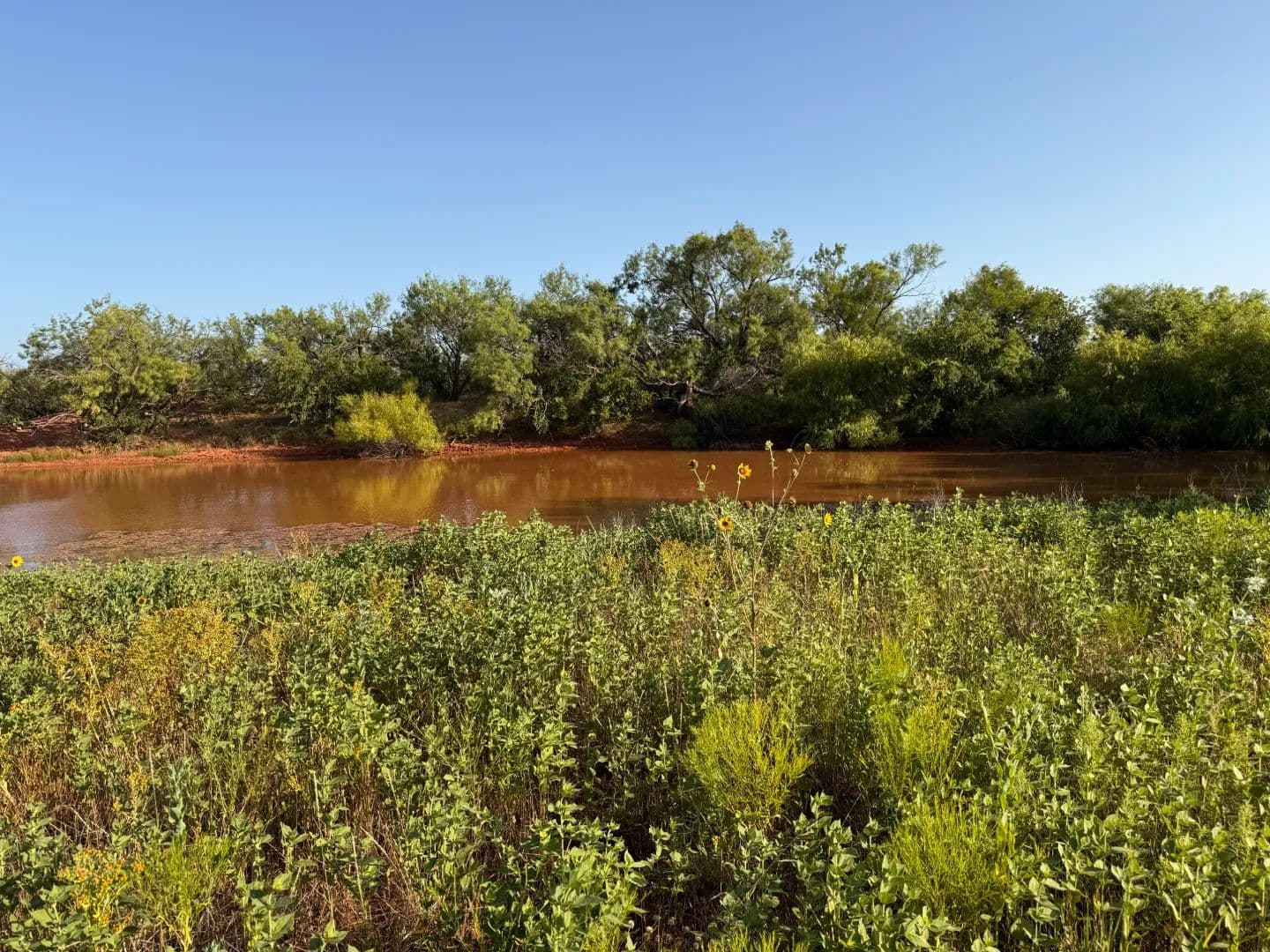 New Listing!!! 99+/- Ac (Tr 7), Taylor Co - Ovalo, Texas, 79541
