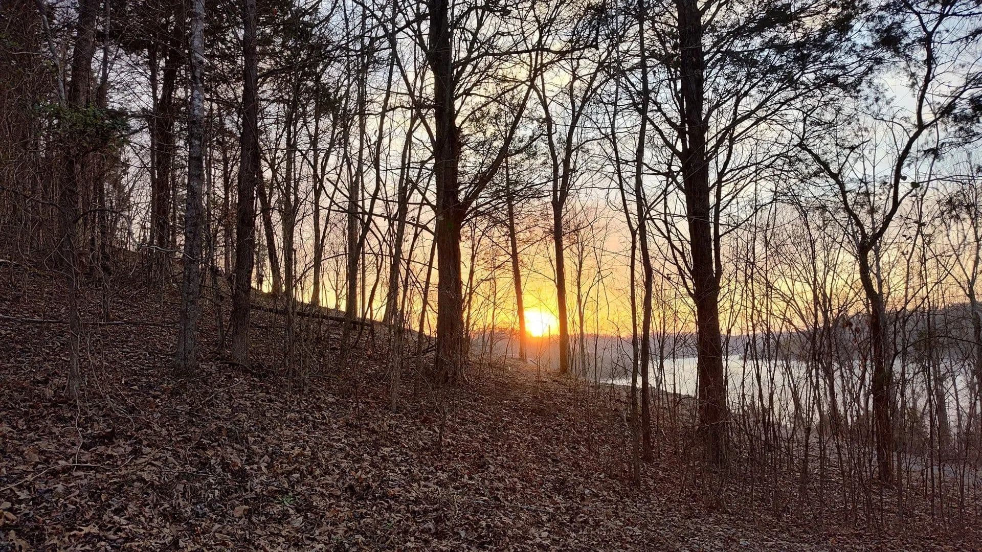 Lots & Land-Other in Silver Point - Silver Point, Tennessee, 38582