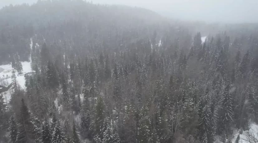 Property from 121 Twin Creek Road - KW