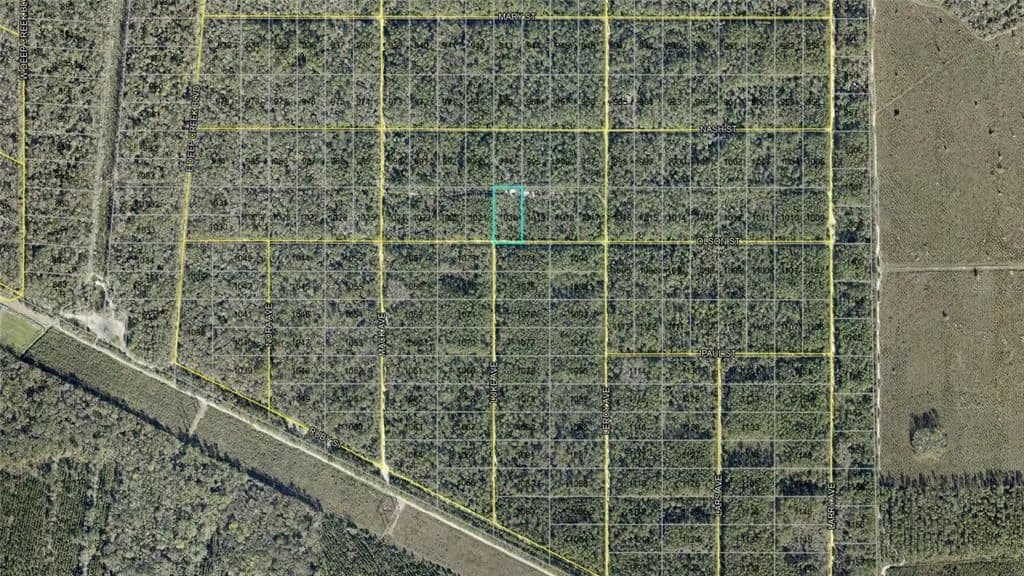 Vacant Land in Hastings - Hastings, Florida, 32145
