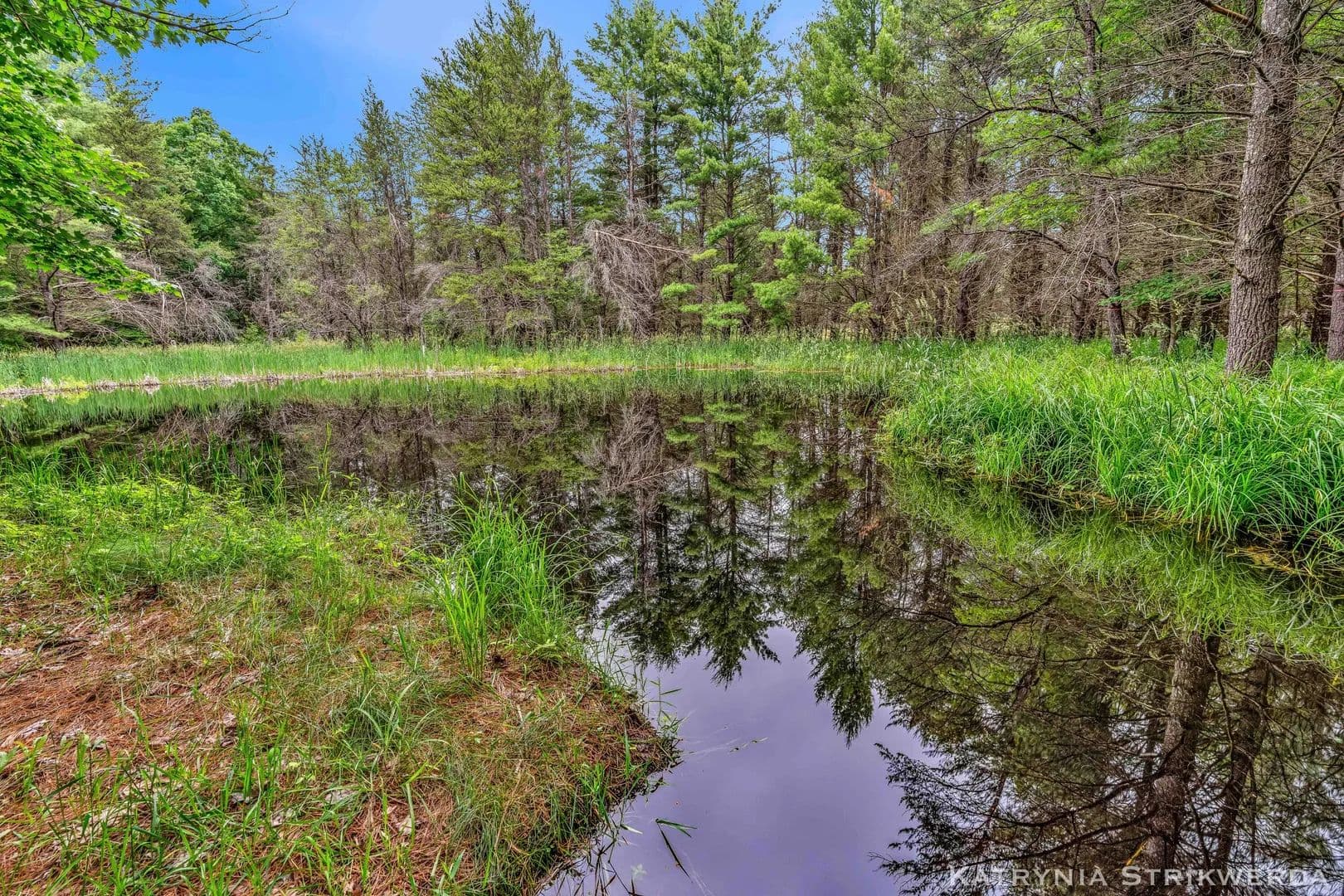 15 Acres of Land for Sale in Branch, MI - land for sale