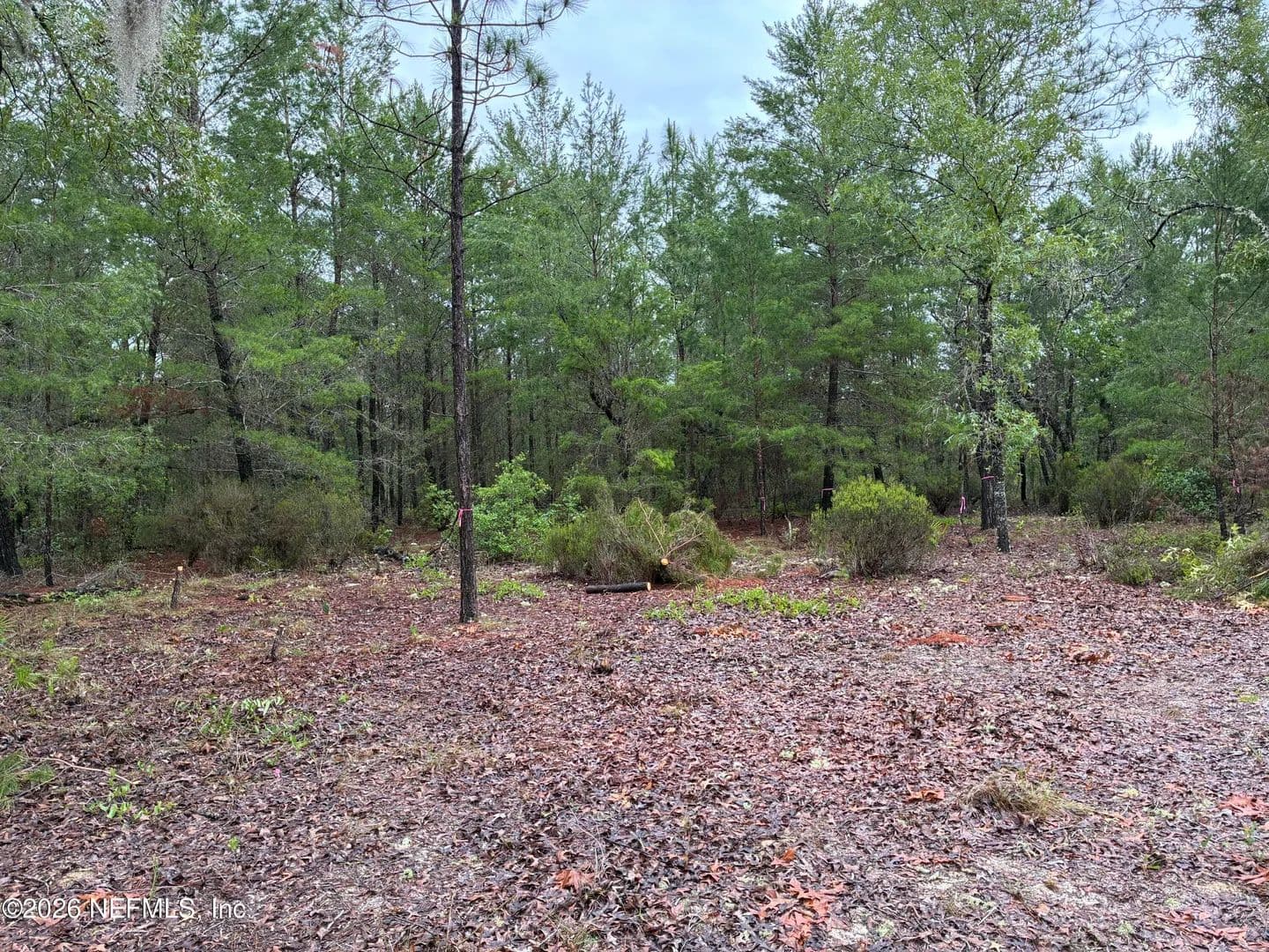 Property from 204 GLASGOW Street - KW - Interlachen, Florida, 32148