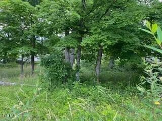 Property from 0047 Wild Rose Lane - KW - Johnson City, Tennessee, 37601