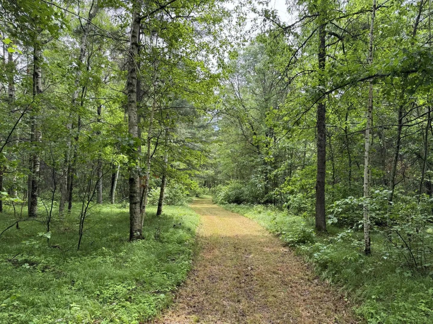 Property from TBD County Road 13 - KW - Nisswa, Minnesota, 56468
