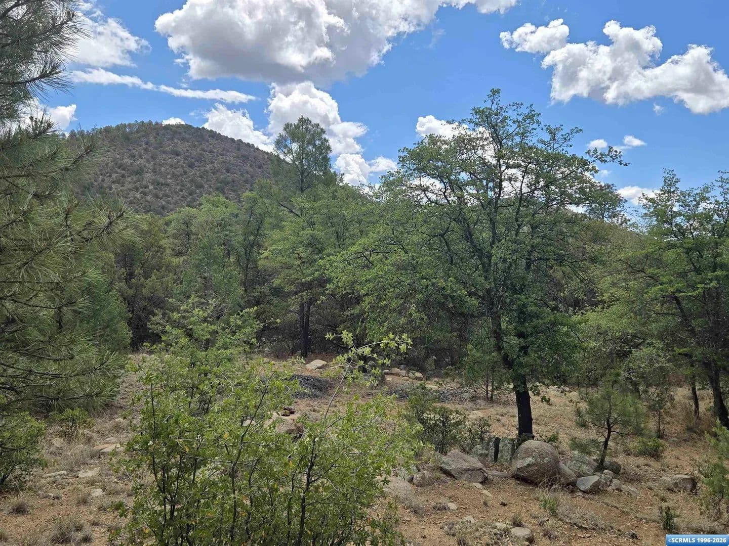 Vacant Land in Pinos Altos - Pinos Altos, New Mexico, 88053