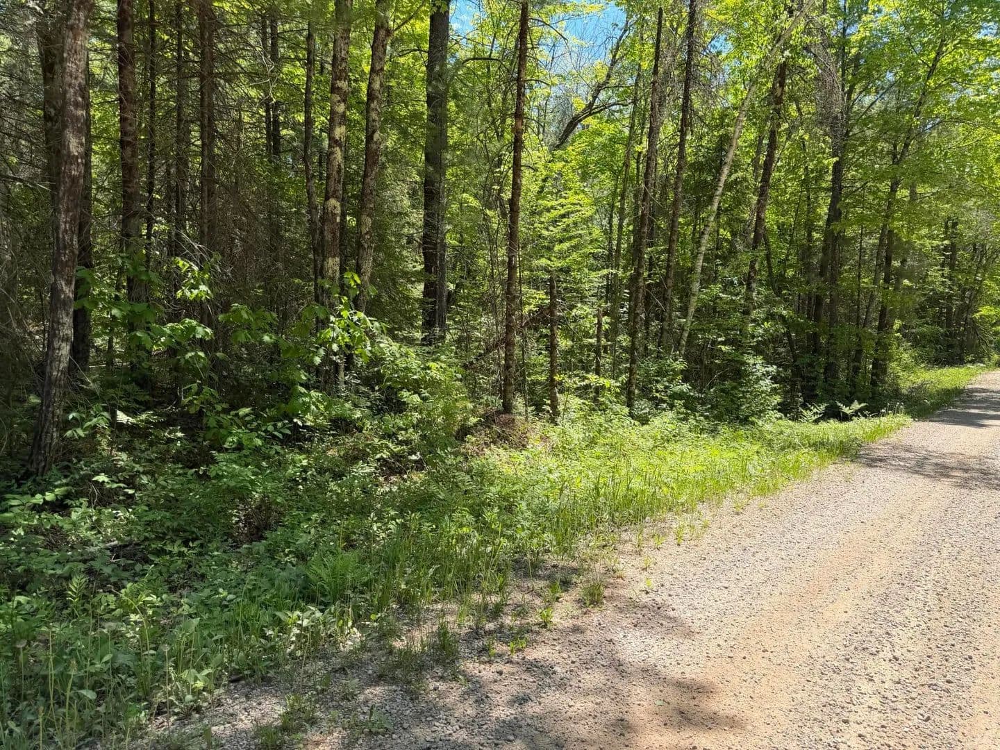30 Acres of Land for Sale in Amberg, Wisconsin - Amberg, Wisconsin, 54102