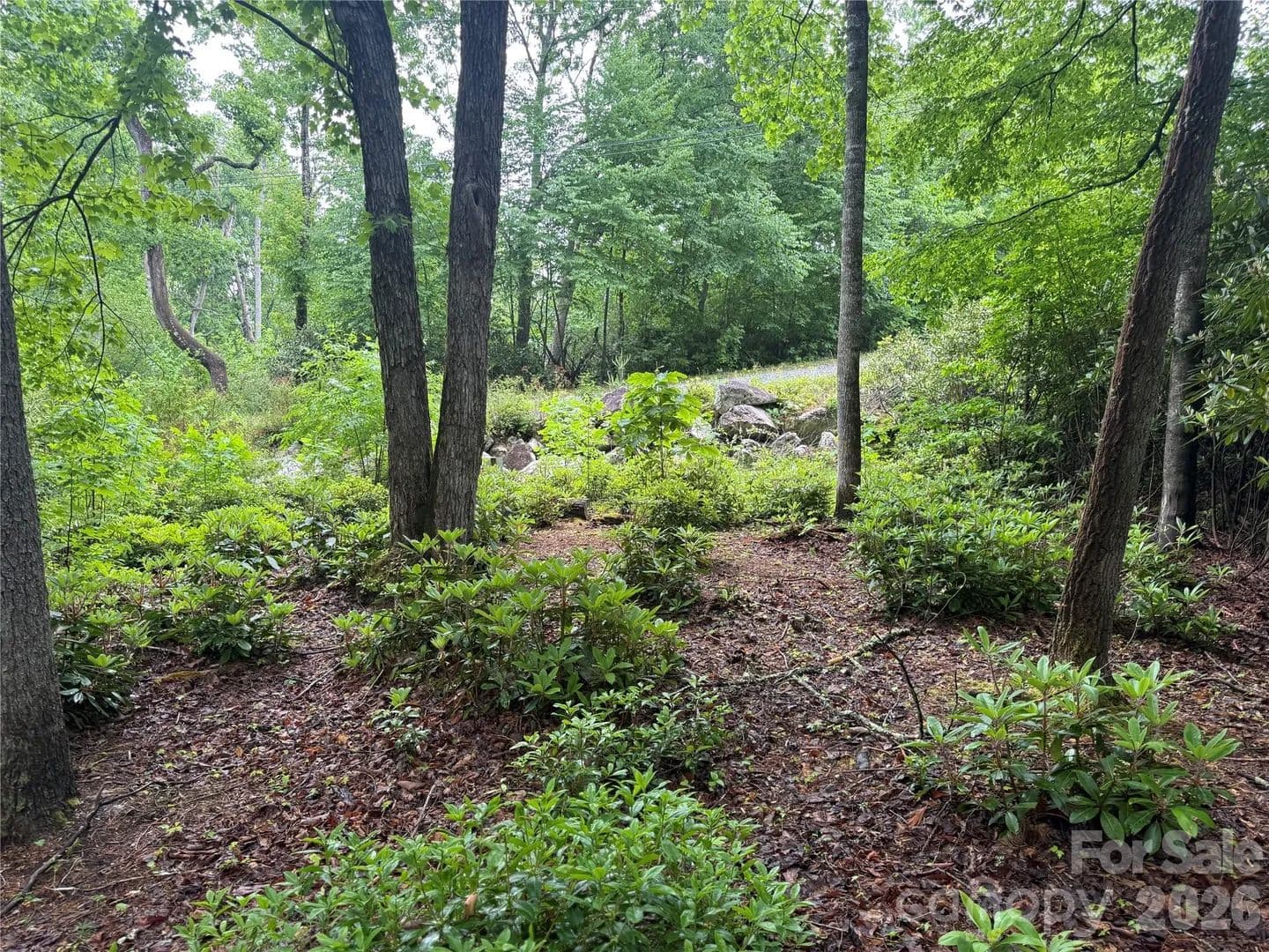 Property from TBD Dogwood Trail - KW - Spruce Pine, North Carolina, 28777