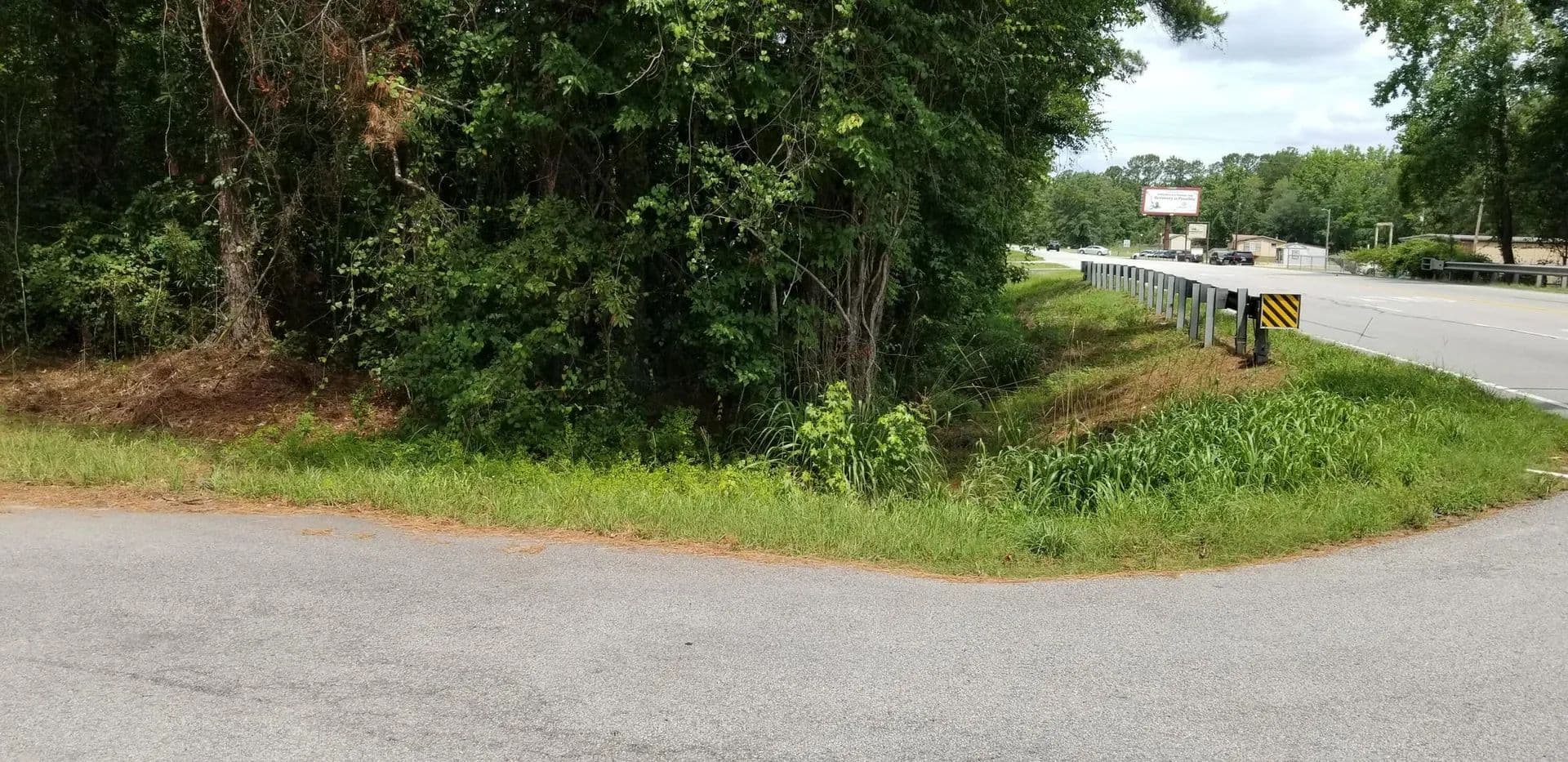 Lots & Land-Other in WALTERBORO - land for sale