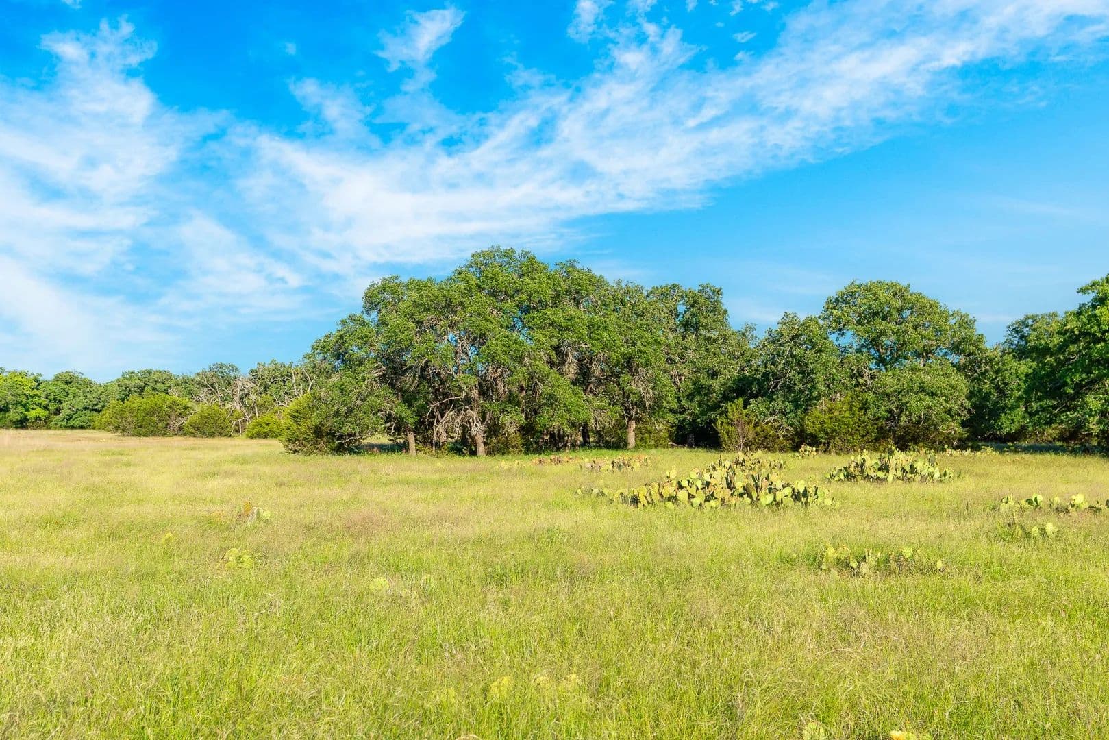 Property from 32 Feild Ranch Road - KW - Burnet, Texas, 78611