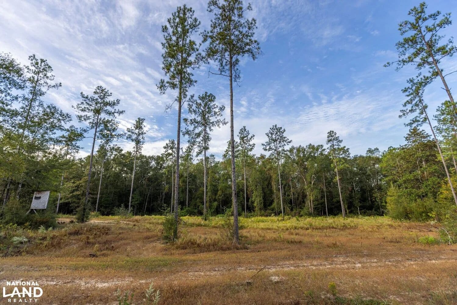 Whitehouse Creek Estates Homesite Lot #7 - Bay Minette, Alabama, 36507
