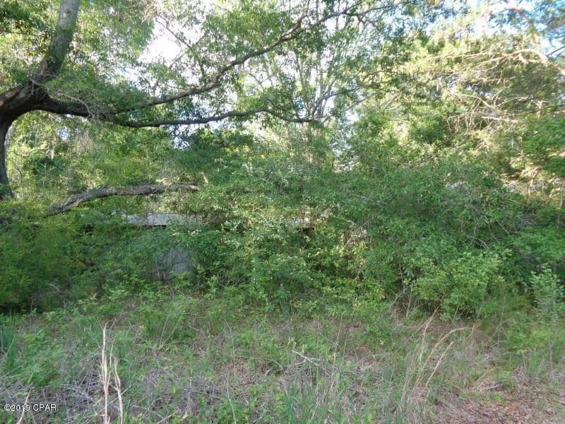 Property from 0 Madison Lane - KW - Graceville, Florida, 32440