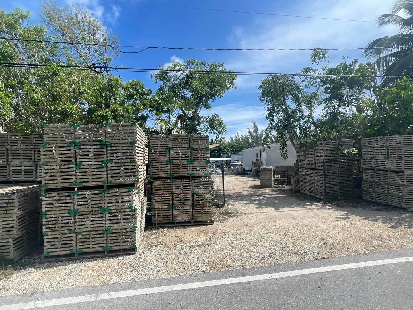 0.14 Acres of Land for Sale in Big Pine Key, Florida - Big Pine Key, Florida, 33043
