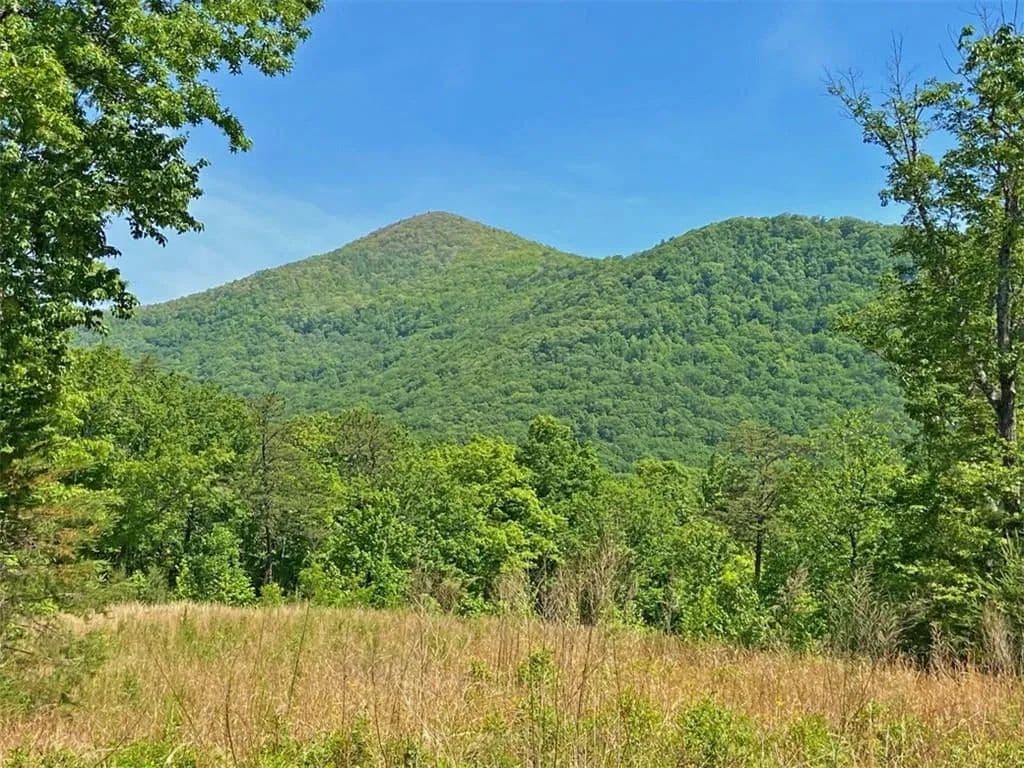 10.5 Acres of Land for Sale in Dahlonega, GA - Dahlonega, Georgia, 30533