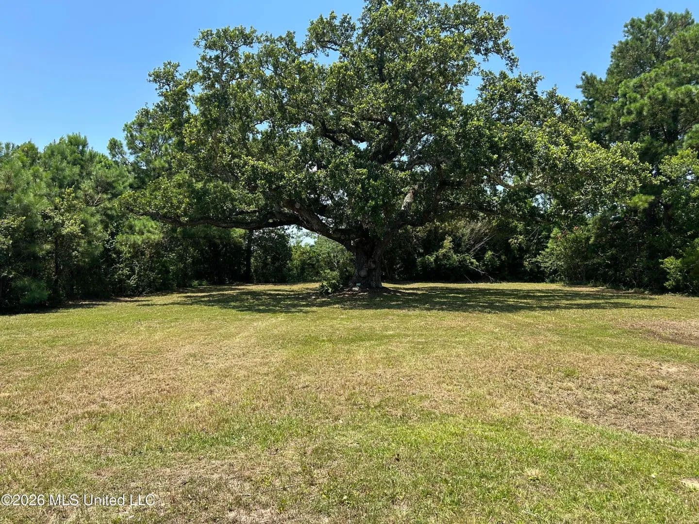 Vacant Land in Waveland - Waveland, Mississippi, 39576