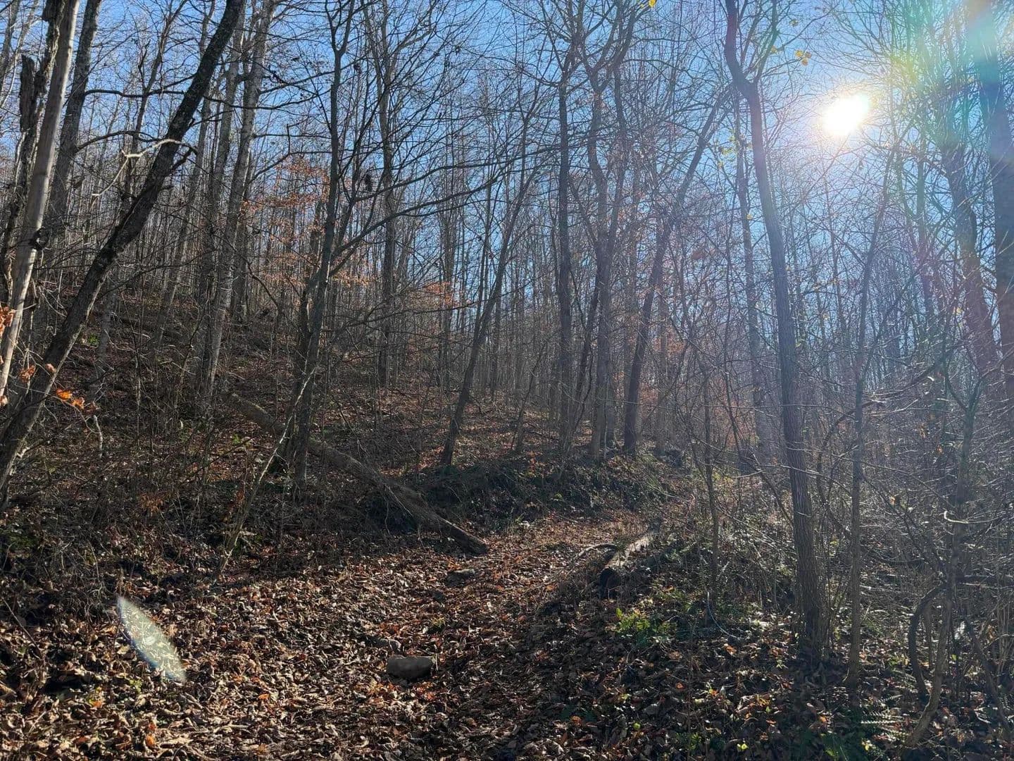 Property from 198 Dan Dishman Road - KW - Monticello, Kentucky, 42633