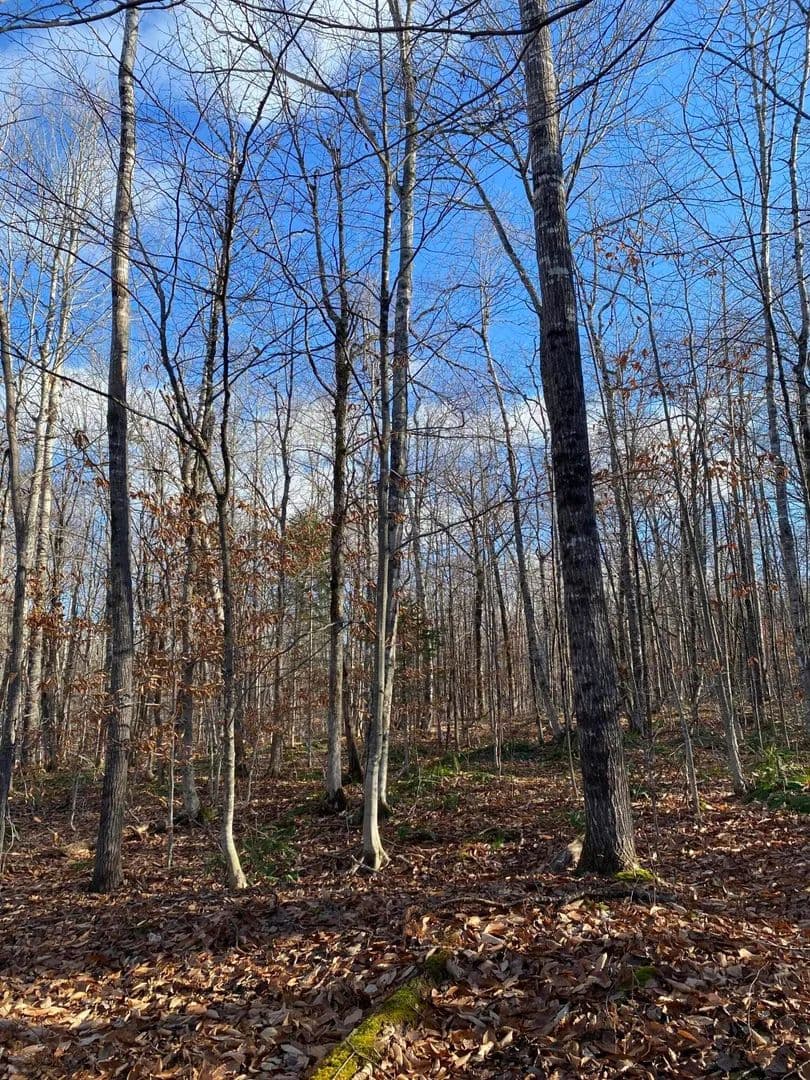 107.9 Acres of Land for Sale in Dexter, Maine - Dexter, Maine, 04930