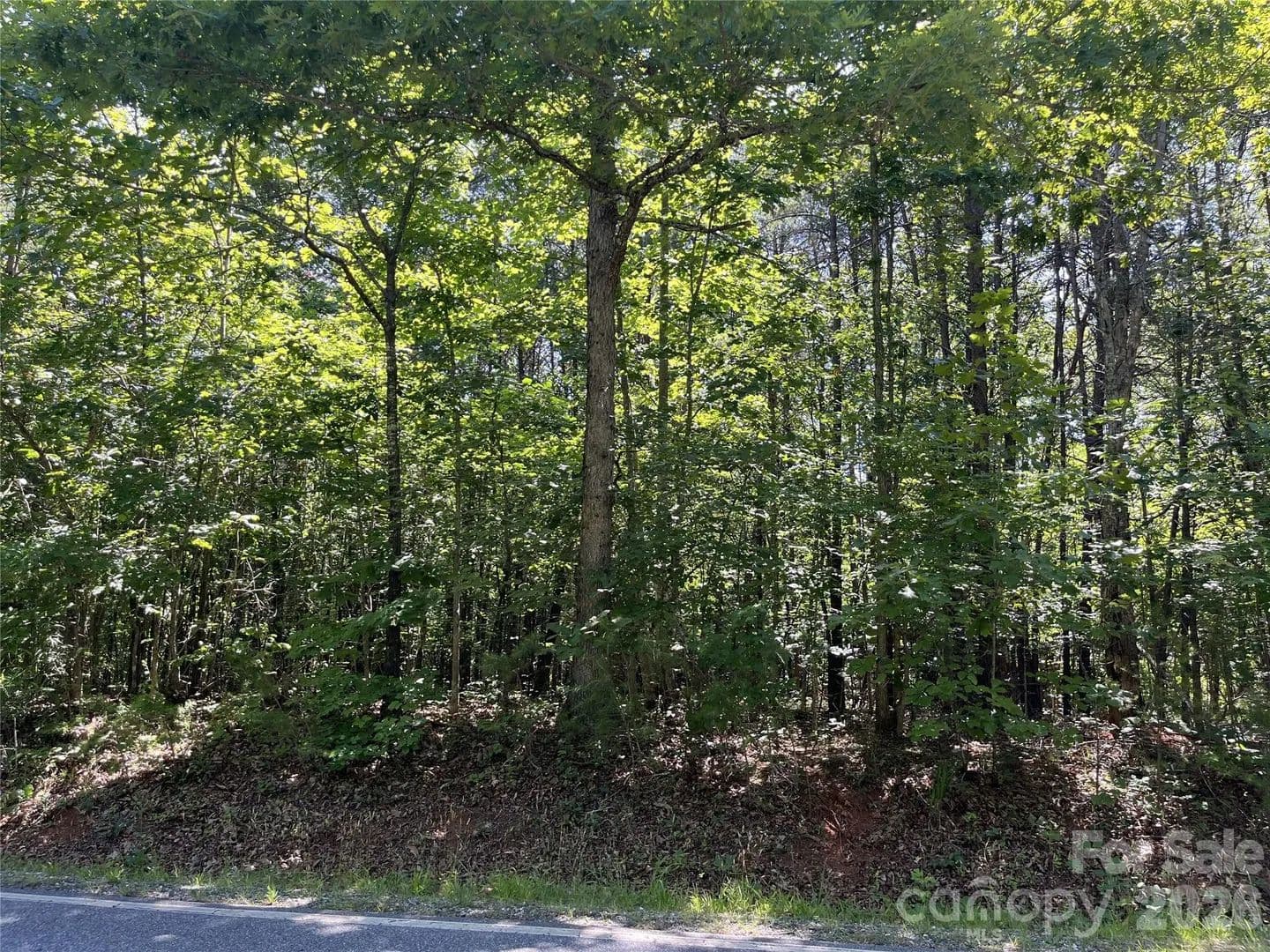 Property from 0 ROCK Road - KW - Rutherfordton, North Carolina, 28139