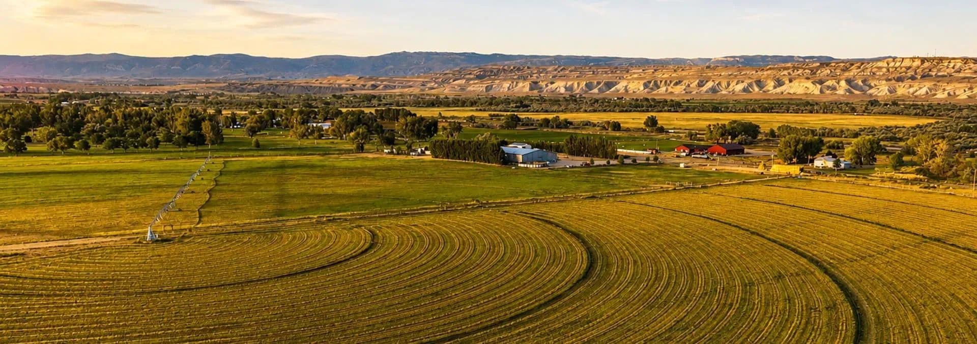 Dirt, Land, and Livestock - land for sale