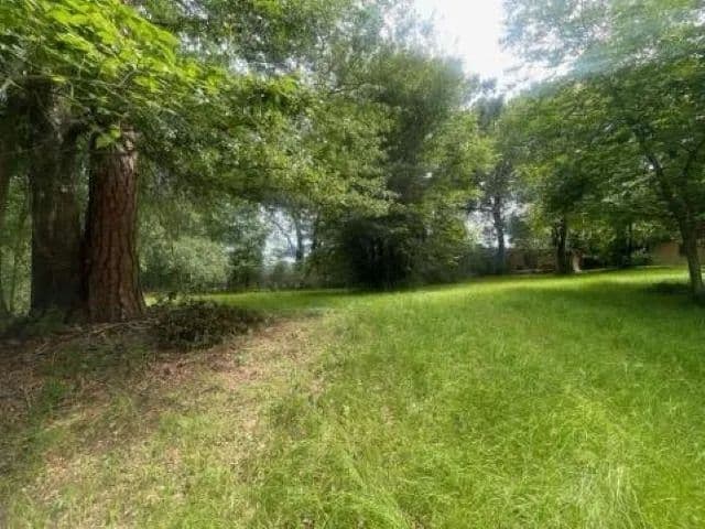 0.42 Acres of Land for Sale in Troup, TX - Troup, Texas, 75789