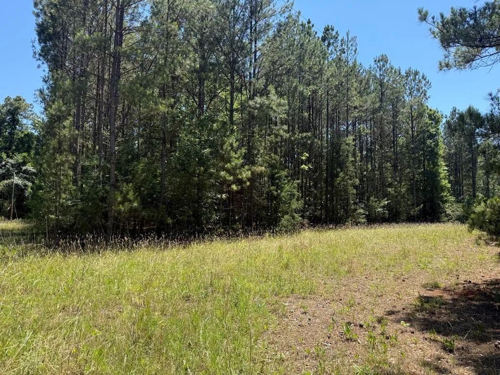 Property from 0 Old Greenwood Highway - KW - Abbeville, South Carolina, 29620