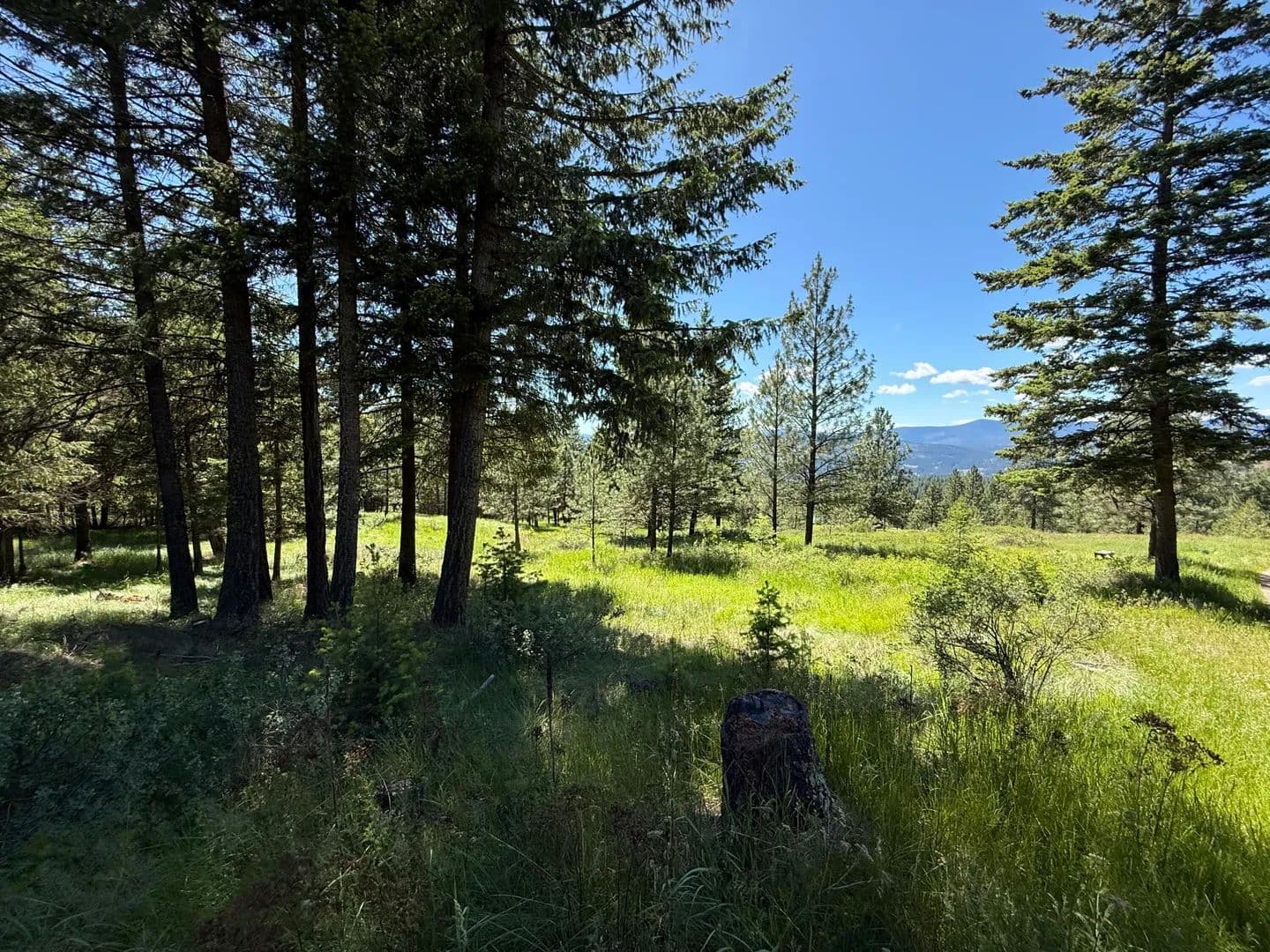 Property from 5 HIDDEN SPRINGS RANCH RD - KW - Republic, Washington, 99166