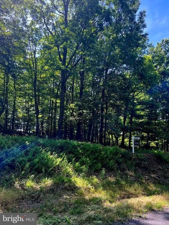 Property from TBD BRILL RD - KW - Star Tannery, Virginia, 22654