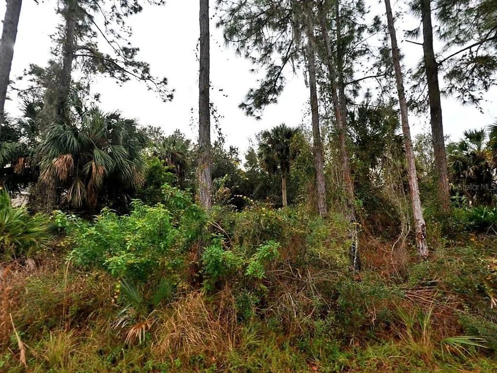 Vacant Land in North Port - North Port, Florida, 34288
