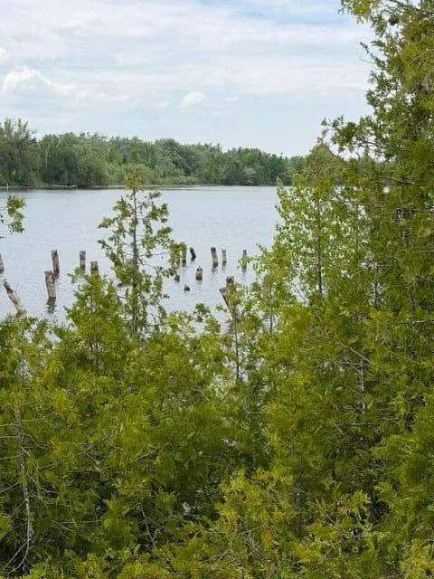 Vacant Land in Cheboygan - Cheboygan, Michigan, 49721