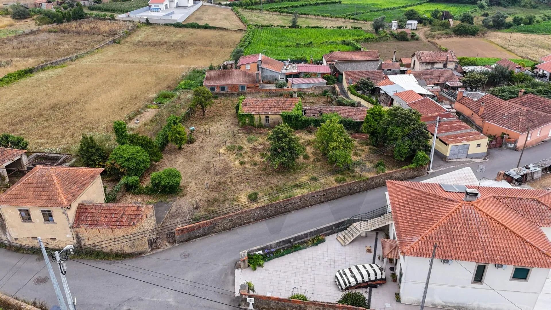 1350 Acres of Land for Sale in Branca, Albergaria-a-Velha - land for sale