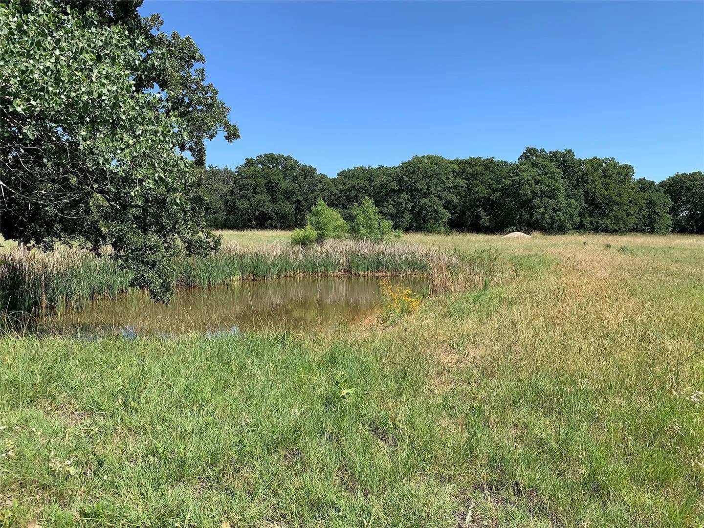 Property from 100 W Huron Circle - KW - Nocona, Texas, 76255