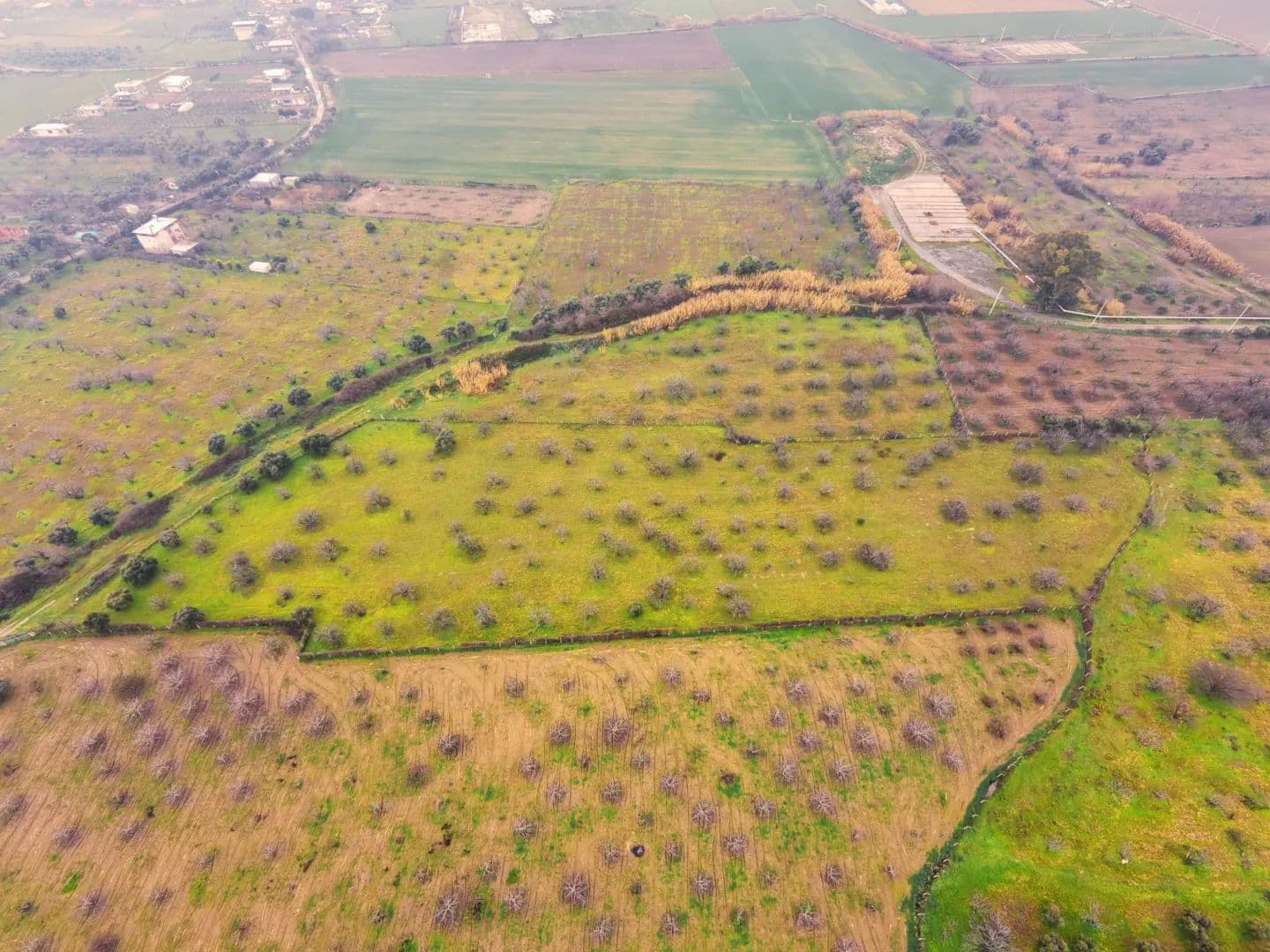 Aydın İncirliova Satılık Bahçe 13.206M² | İmar Yakını Yatırımlık - Turkey