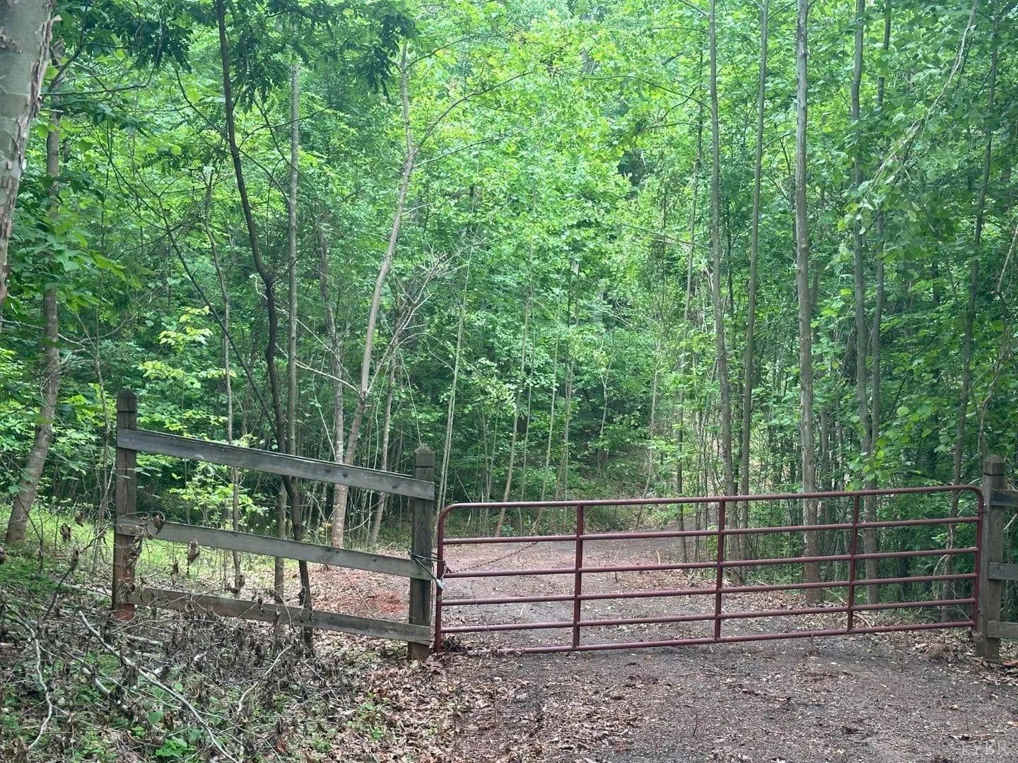 Property from 0 Burgess Road - KW - Madison Heights, Virginia, 24572