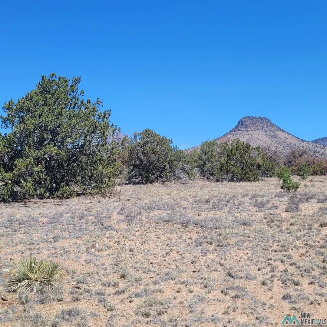 10.41 Acres of Land for Sale in Datil, NM - Datil, New Mexico, 87821