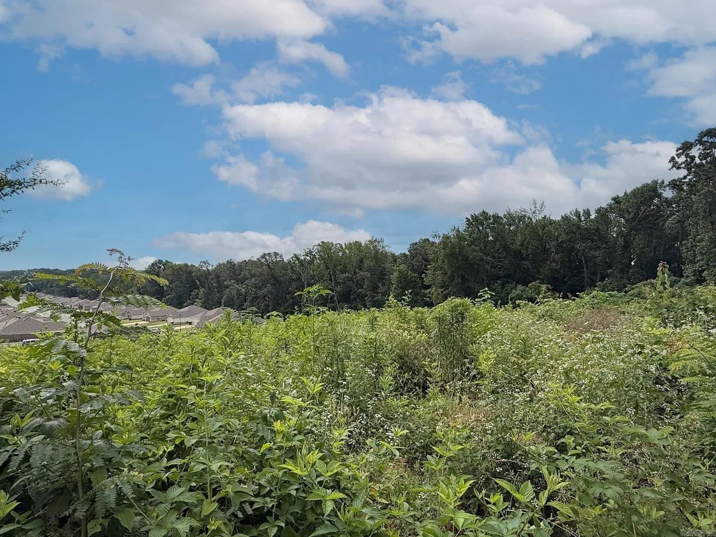 Property from Lot 134 N Stagecoach Road - KW - Ward, Arkansas, 72176