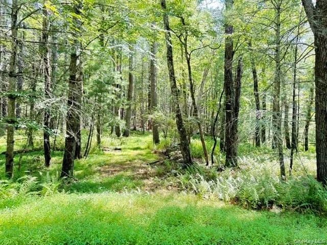 Vacant Land (0-10 Acres) in Glen Spey - land for sale