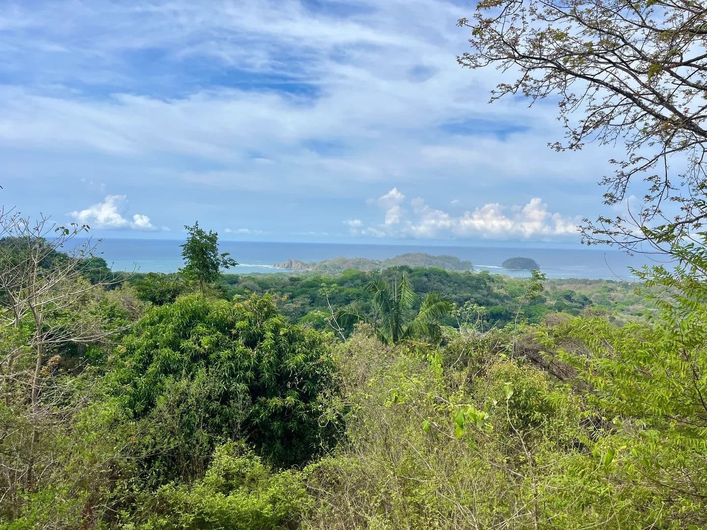Vacant Land in Samara - land for sale