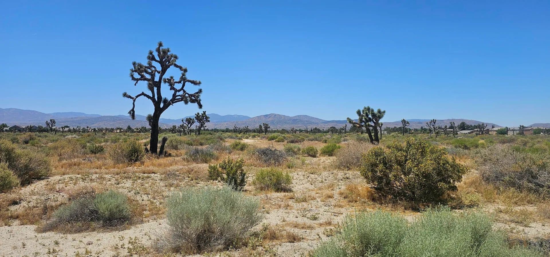 Property from Palmdale Blvd / 55th St E - KW - Palmdale, California, 93550