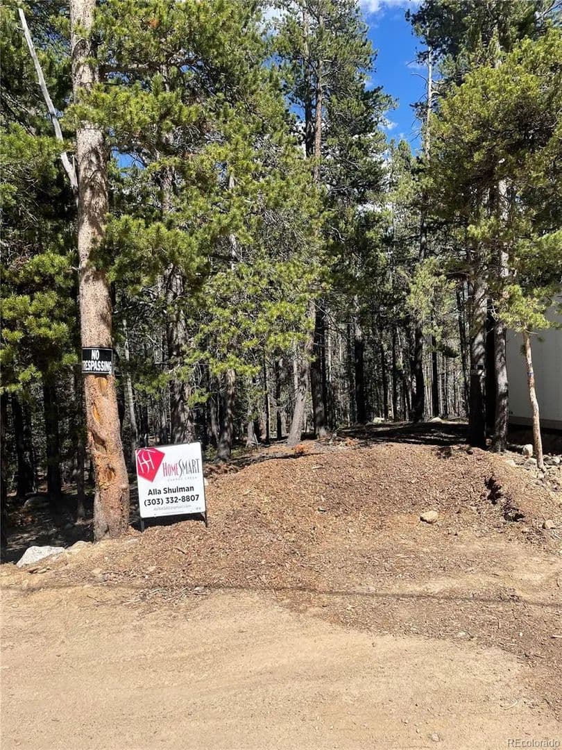 Property from 000 Silver Creek Road - KW - Idaho Springs, Colorado, 80452