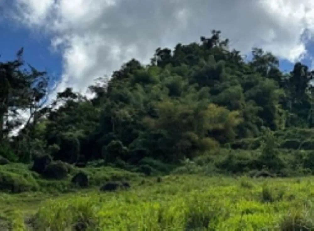 Vacant Land in St George - land for sale