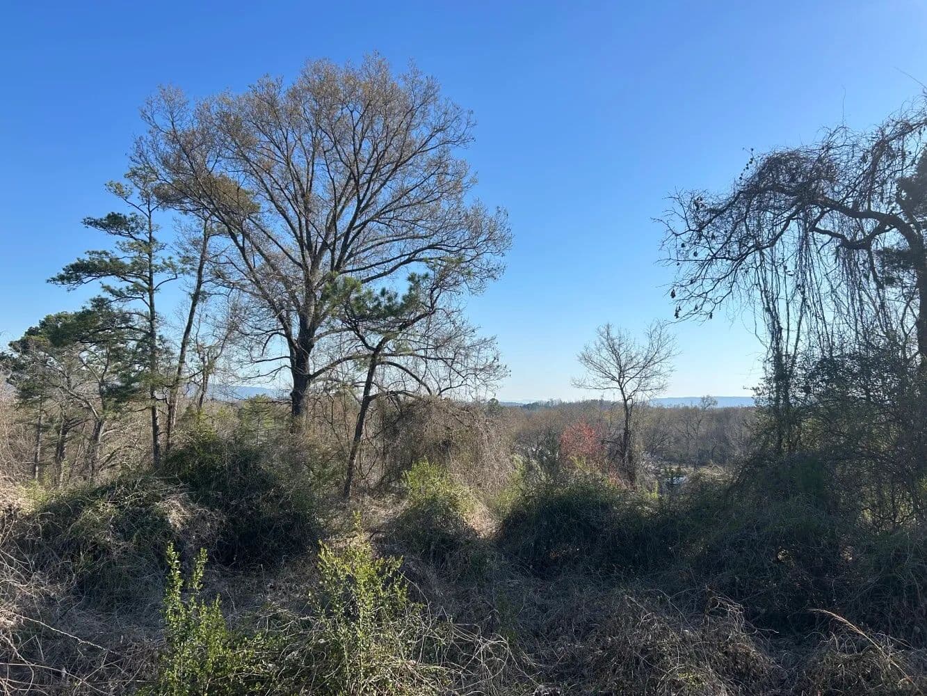 Homesite With Views Near Chattanooga! - Stevenson, Alabama, 35772