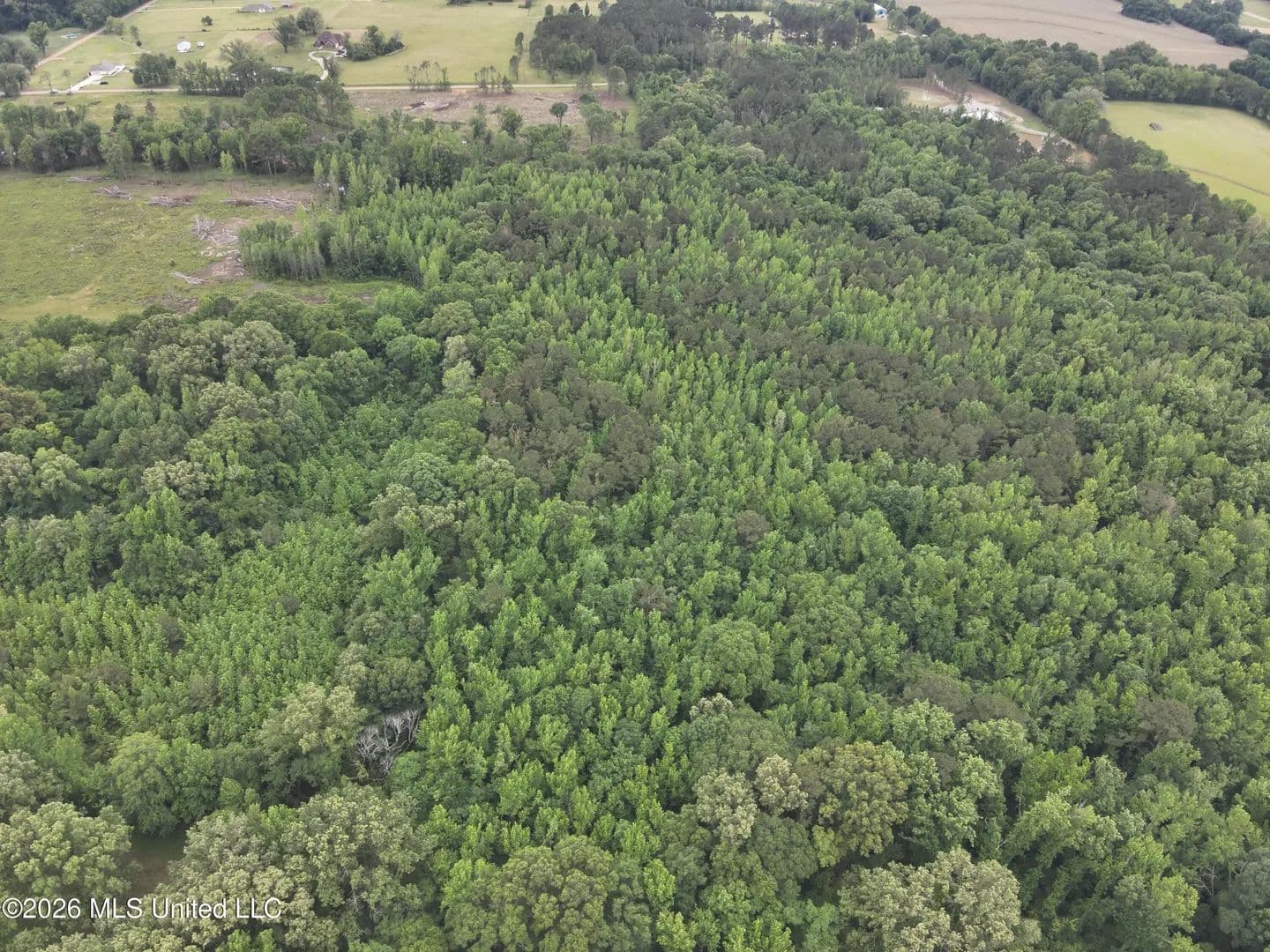 Property from 0 Dampeer Road - KW - Canton, Mississippi, 39046
