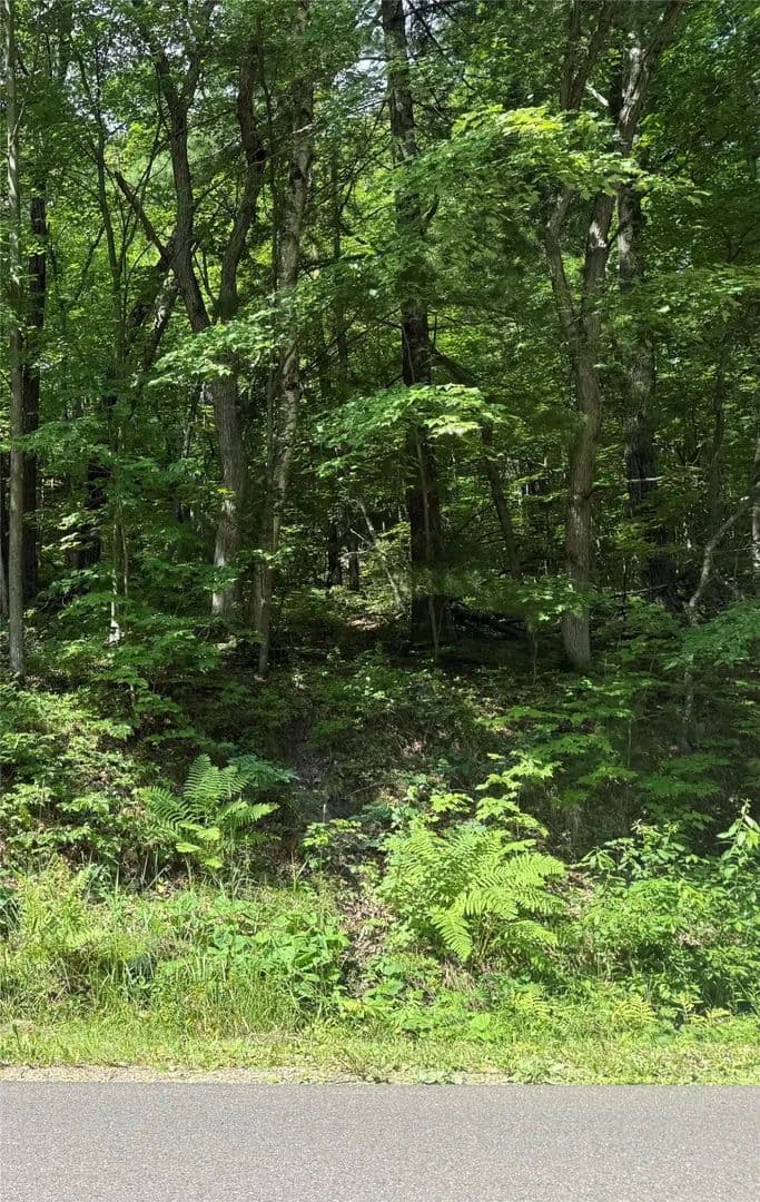 Vacant Land in Eau Claire - Eau Claire, Wisconsin, 54703