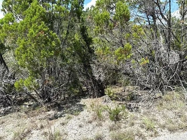 0.22 Acres of Land for Sale in Lago Vista, Texas - Lago Vista, Texas, 78645