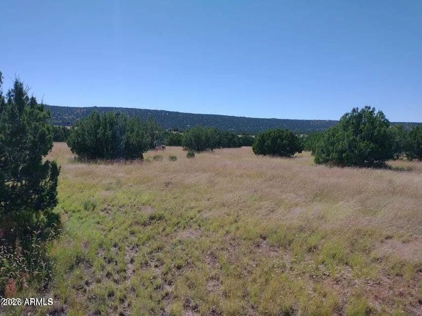 Property from 71 ACR 8001 -- #632 - KW - Concho, Arizona, 85924